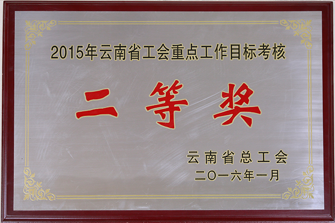 2015云南省總工會(huì )授予工投二等獎